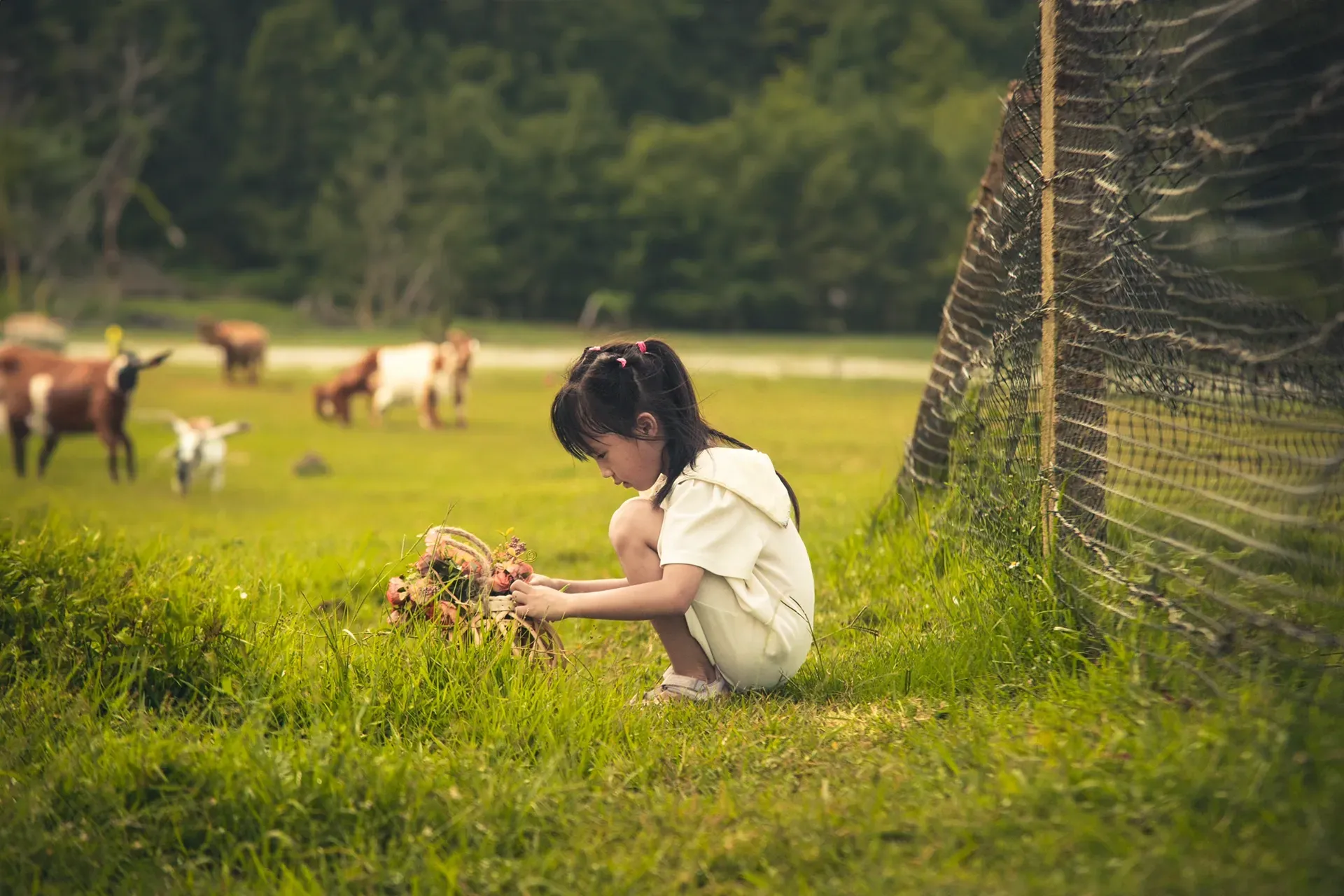 女性SPA会所的全新养身体验：一场身心愉悦的旅行