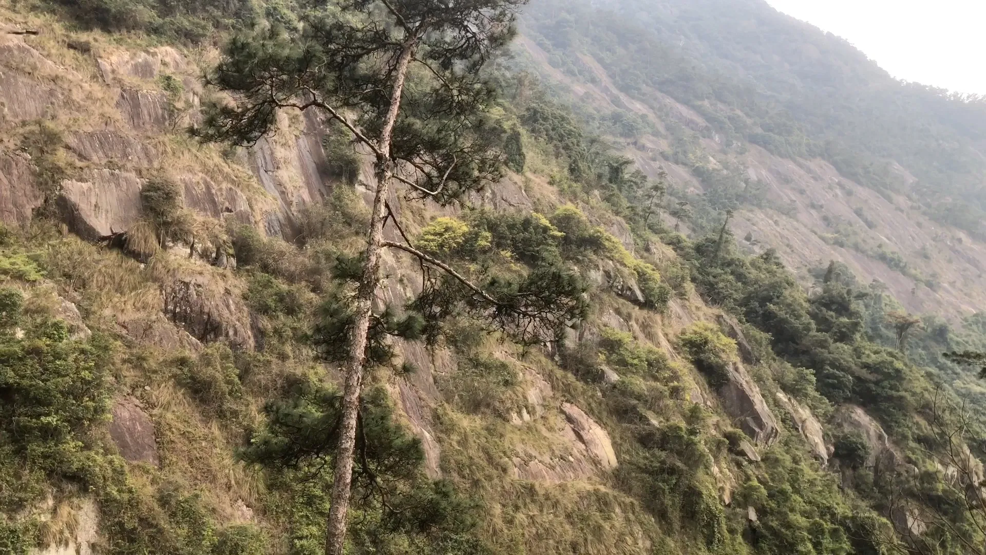 思足服务全面解析，让你的企业效率提升几倍！